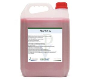 ATTAPHYT